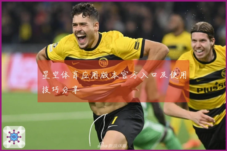 星空体育应用版本官方入口及使用技巧分享