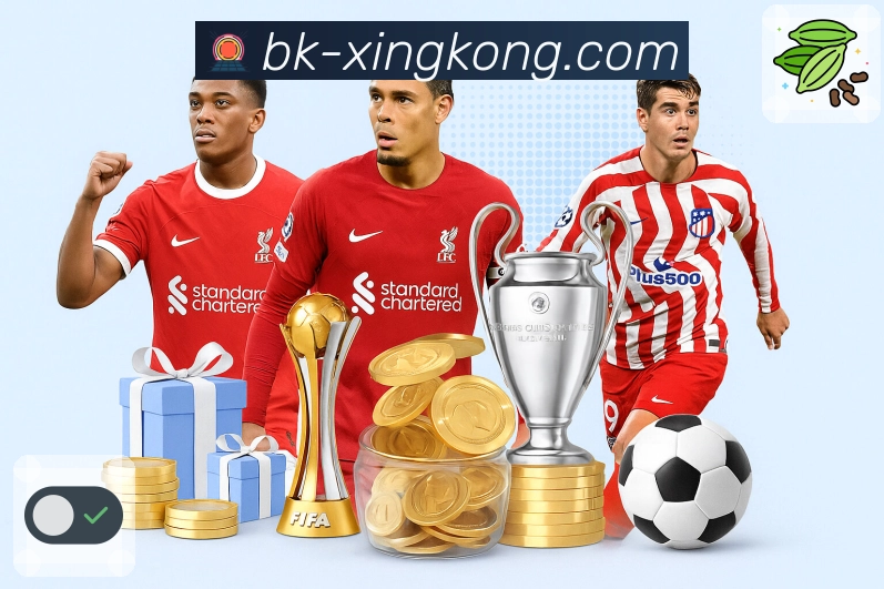 星空体育应用版本官方入口及使用技巧分享